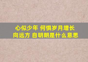 心似少年 何惧岁月增长 向远方 自明朗是什么意思